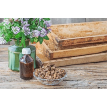 propolis w proszku